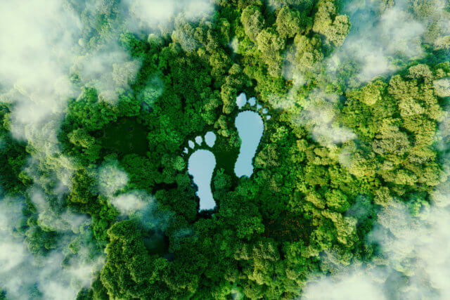 lake in shape of human footprints
